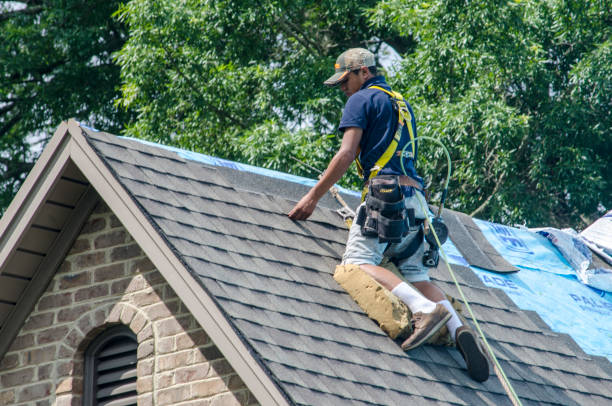 Best Metal Roofing Contractor  in Woodfin, NC